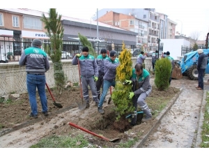 Kütahya Orman Bölge Müdürlüğünden Ağaçlandırma Çalışmaları