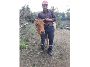 Balıkesir’de Cinayet