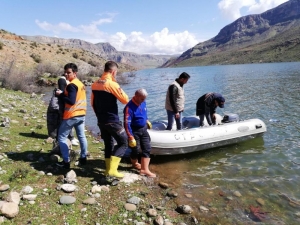 Siirt’te Baraj Suyu Yükseldi, Mahsur Kalan Kediler Kurtarıldı
