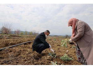 "Üretmeye Ve Üretimi Desteklemeye Mecburuz"