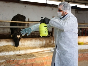 Saha Çalışmalarında Gerekli Tedbirler Alındı