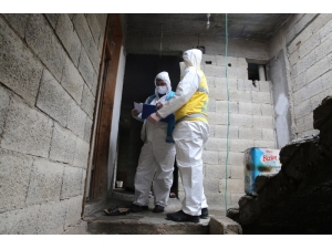 İhtiyaç Sahibi Ailelerin Kartları Adreslerine Teslim Edildi