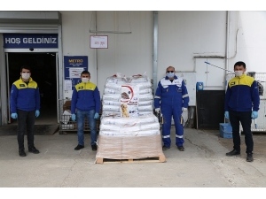 Ordu’da Sokak Hayvanları Unutulmuyor