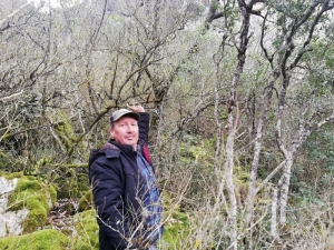 Osmaneli’ndeki Ormanlar Tehlike Altında