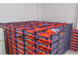 Karacabey’de Sağlık Çalışanlarına Ve Personele C Vitamini Takviyesi