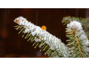 Ardahan’da 1 Nisanda ’Beyaz’ Sürpriz