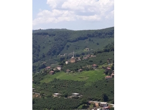 Ordu’da Bir Mahalle Karantinaya Alındı