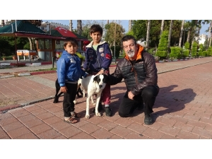 Zor Günler Yaşayan Sokak Köpeklerine Mama Desteği