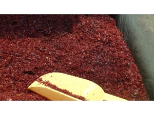 Sumakta Talep Patlaması Yaşanıyor