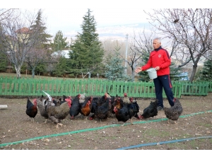 Korona Virüsten Korunmak İçin Şehir Hayatını Bıraktı, Köyüne Yerleşti