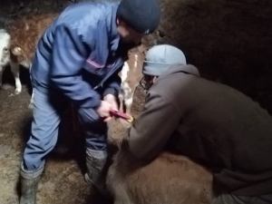 Karadayı: ‘Evde Kal Fiziksel Mesafeyi Koru’