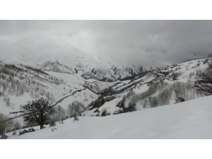 Muş’ta Yüksek Kesimler Beyaza Büründü