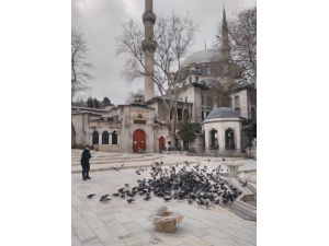 Antalyalı Hayırsever Eyüpsultan’ın Güvercinlerini Unutmadı