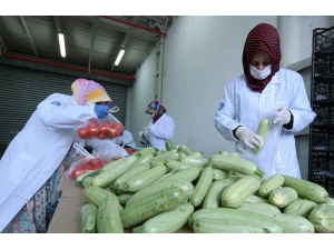 Bursa Büyükşehir Belediyesi Sokağa Çıkma Kısıtlaması Olan Yaşlıların Tüm İhtiyaçlarını Evlerine Götürüyor