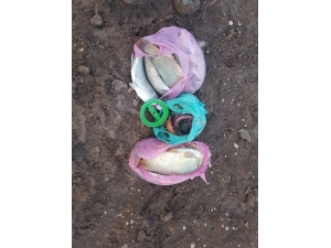 Samsat’ta Balık Avlayanlara Göz Açtırılmıyor