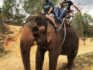 İstanbul’daki Feci Yangının Detayları Ortaya Çıktı