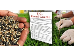 Tohumculuk Sektöründe Yetki Ve Denetlemede Bir Dizi Değişiklik