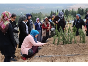İskenderun’daki Tır Kazasında Hayatını Kaybeden Baba Oğul Yan Yana Toprağa Verildi