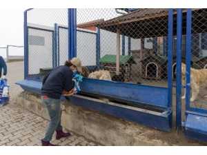 Büyükşehir Her Canlının Yanında