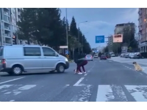 Duyarlı Vatandaş Anne Köpeğin Çaresizliğine Dayanamadı