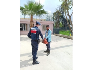 Evden Hırsızlık Yapan 2 Kişi Yakalandı