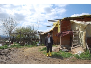 Çiftlikten 3 Büyükbaş Hayvanı Çalıp Kayıplara Karıştılar