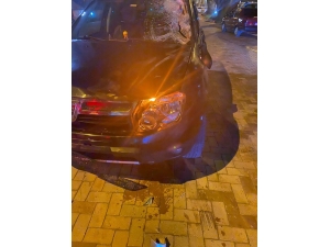 Başıboş Atlar Otomobilin Üzerine Çıktı, Sürücü Neye Uğradığını Şaşırdı