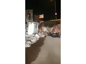 Uludağ Ayılara Kaldı