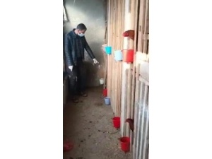 Jandarma Ekipleri Horoz Dövüşçülerine Baskını Düzenledi