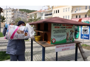Menteşe’de ‘Can Dostlara’ Mama Takviyesi