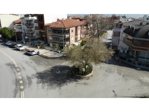 Yolun Ortasında Tek Kaldı, Görenler Şaşkına Dönüyor