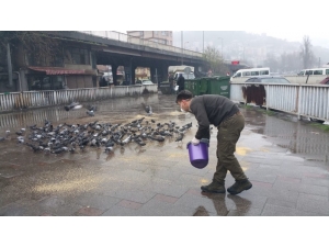 Yaban Hayvanlar Unutulmadı