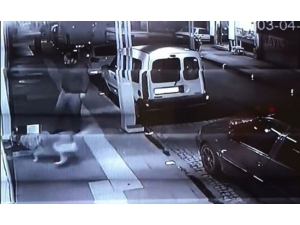 Köpeği Kediye Saldırttı, Kedinin Yuvasını Tekmeledi