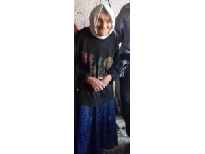 Kayıp Alzheimer Hastası Yaşlı Kadının Cesedine 6 Ay Sonra Ulaşıldı