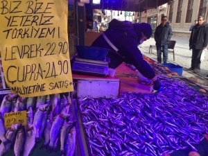 Levrek Ve Çipurada Maliyetine Satışa Yoğun İlgi