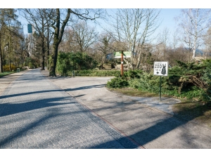 Almanya’da Korona Nedeniyle Ölü Sayısı Bin 158’e Çıktı