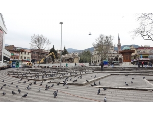 Yıkımı İnsanlar Yerine Güvercinler İzledi