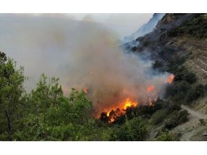 Muz Bahçesinde Çıkan Yangın Ormana Sıçradı