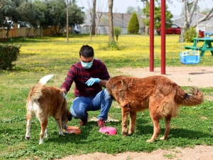 Muratpaşa 106 Noktaya Mama Bırakıyor