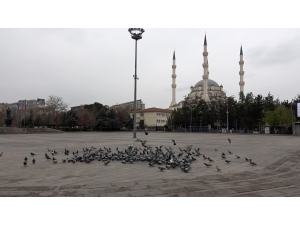 Kırıkkale’de Meydanlar Güvercinlere Kaldı
