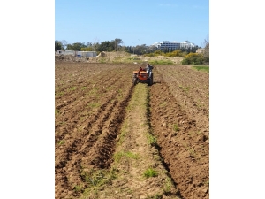 Yaşlı Adamın Tarlasını Jandarma Sürerek Ekime Hazırladı