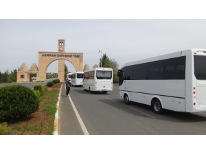 Cezayir’den Tahliye Edilen 191 Kişi Şanlıurfa’ya Getirildi