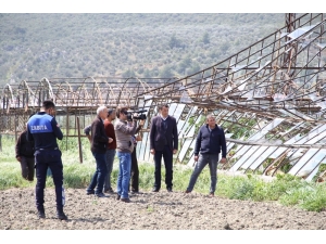 Antalya’da Seralardaki Hasar Günün Ağarması İle Ortaya Çıktı