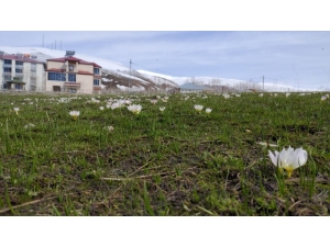 Bingöl’de Bahar Ve Kış Bir Arada