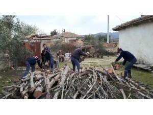 Şehit Annesinin Odunlarını Jandarma Kırdı