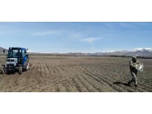 Güvenlik Korucuları Yaşlı Adamın Tarlasını Sürüp Ekim Yaptı