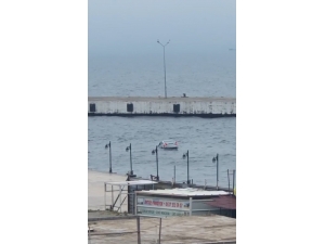 Sinop’ta Denize Düşen Otomobilin Sürücüsü Kendi İmkanlarıyla Sudan Çıktı