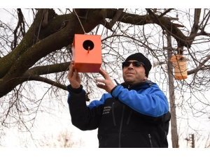 Yenişehir Belediyesi Sokak Hayvanlarını Unutmadı