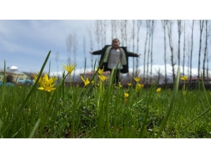 Bitlis’te Baharın Müjdesi Çiçeklerden Renk Cümbüşü