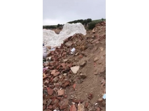 Kafası Konserve Kutusuna Sıkışan Yavru Köpeğin Yardımına Jandarma Yetişti